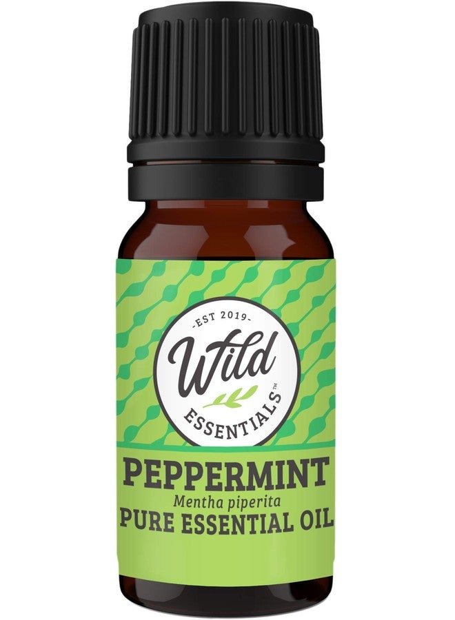 mEssentials Wild Essentials 4-Piece 100% Pure Therapeutic Grade Essential Oil Sampler Set - Aromatherapy Gift Set - Includes Lavender, Peppermint, Lemongrass and Orange- 5ml Bottles - Image 4